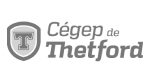 CEGEP Thetford